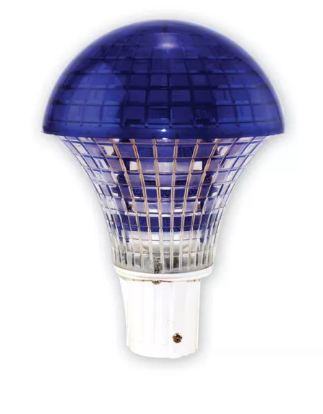 NEW FABULA BLUE