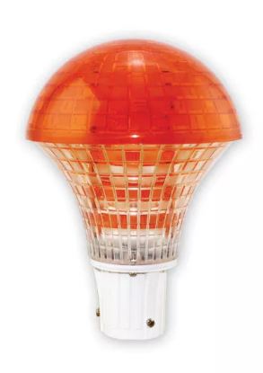 NEW FABULA ORANGE