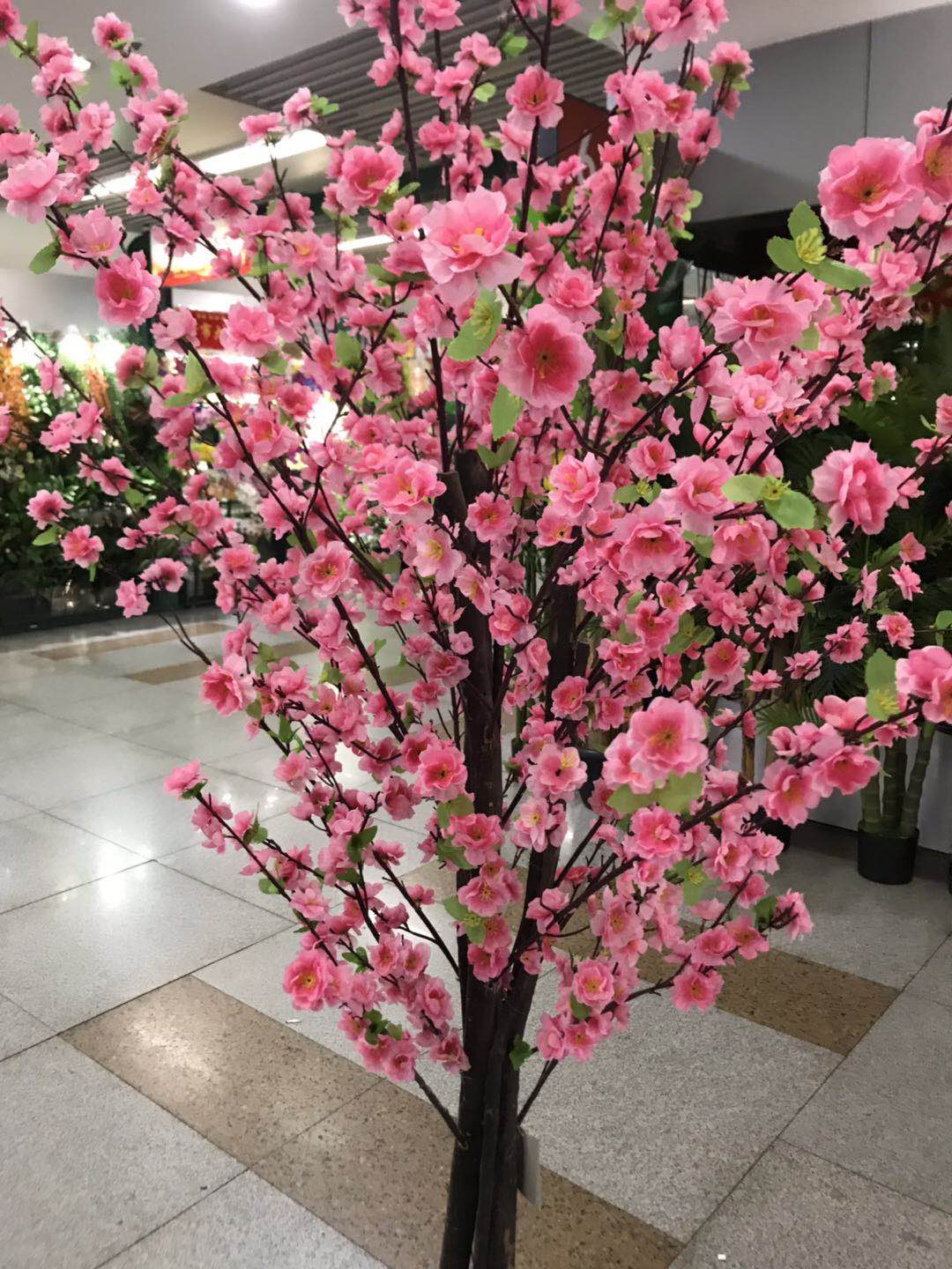 1017 TREE