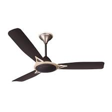 CG-AVANCER-BROWN